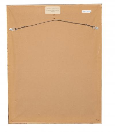 Johann Wilhelm Weinmann Set of 6 Framed Hand Coloured Botanicals Engravings By J W Weinmann