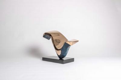 John Clinton Wayfarer Taking Flight 5 