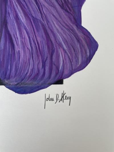 John D Herz Purple Haze 