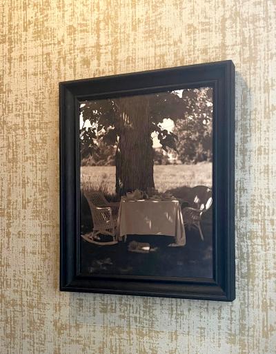 John Dugdale Frame Photograph Shady Breakfast by John Patrick Dugdale