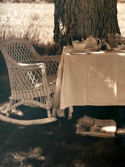John Dugdale Frame Photograph Shady Breakfast by John Patrick Dugdale