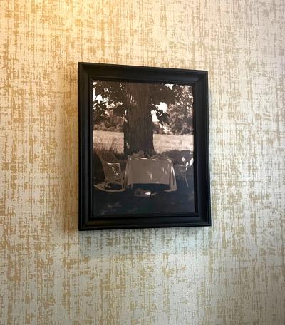 John Dugdale Frame Photograph Shady Breakfast by John Patrick Dugdale