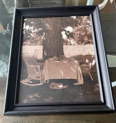 John Dugdale Frame Photograph Shady Breakfast by John Patrick Dugdale