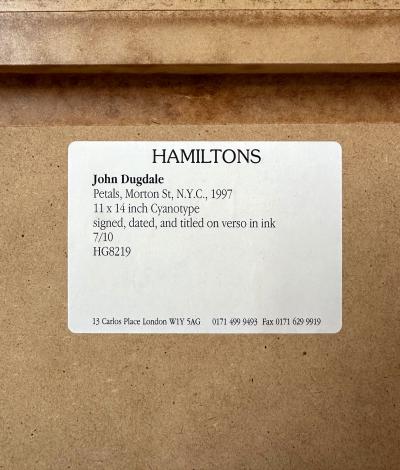 John Dugdale Framed Editioned Cyanotype Photograph by John Patrick Dugdale Provenance
