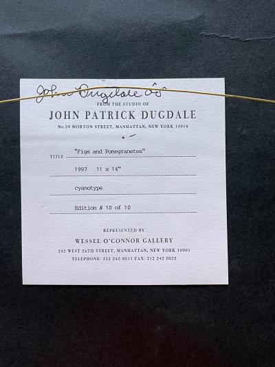 John Dugdale Framed Editioned Cyanotype Photography by John Dugdale