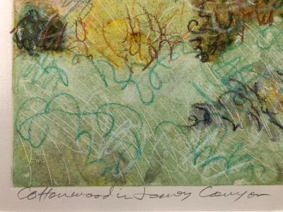 John Hogan Cottonwoods in Jemez Canyon