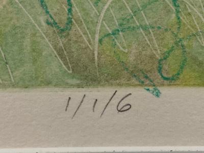 John Hogan Cottonwoods in Jemez Canyon