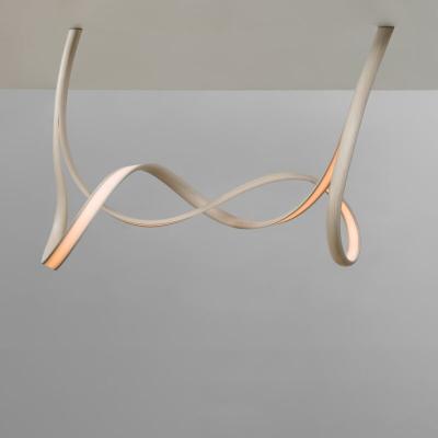 John Procario John Procario Freeform Series Ceiling Light Sculpture I USA 2024