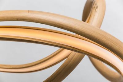 John Procario John Procario Freeform Series Light Sculpture I USA 2016