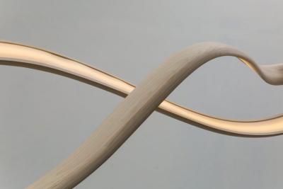 John Procario John Procario Freeform Series Light Sculpture II USA 2017