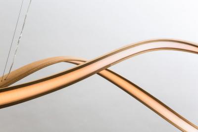 John Procario John Procario Freeform Series Light Sculpture V USA 2017