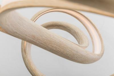 John Procario John Procario Freeform Series Light Sculpture VI USA 2018