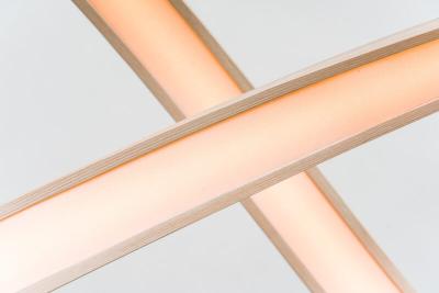 John Procario John Procario Freeform Series Light Sculpture XL USA 2022