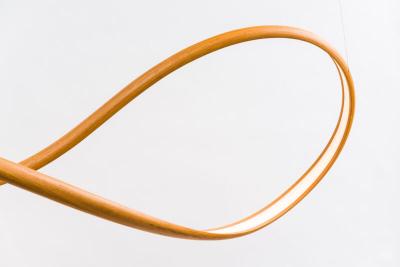 John Procario John Procario Freeform Series Pendant III USA 2021