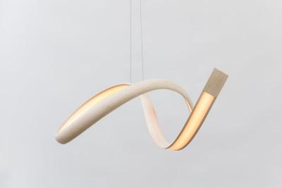 John Procario John Procario Freeform Series Pendant USA 2023