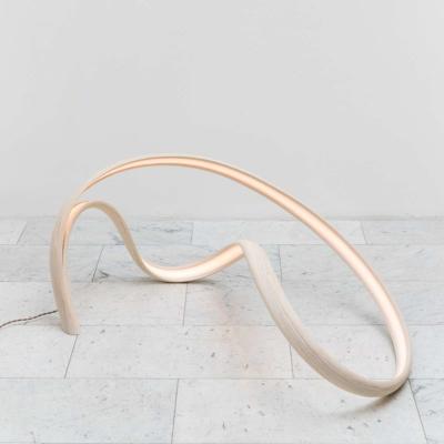 John Procario John Procario Luminaire IV USA 2018