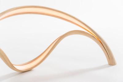 John Procario John Procario Luminaire VI USA 2021