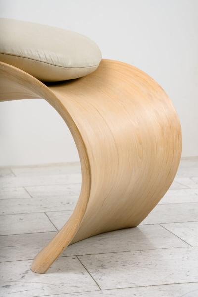 John Procario John Procario Posterior Bench USA 2019