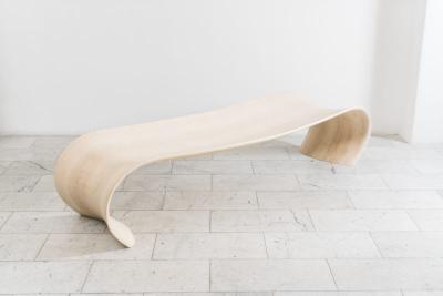 John Procario John Procario Posterior Bench USA 2019