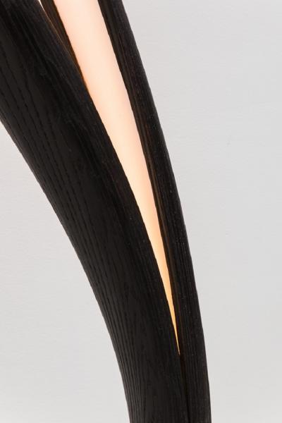 John Procario John Procario Standing Freeform USA 2017