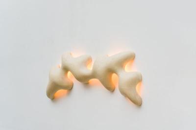 John Procario John Procario Terraqueous Wall Light Sculpture II USA 2022