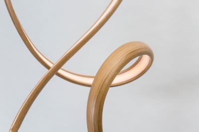 John Procario John Procario Vertical Freeform I USA 2017