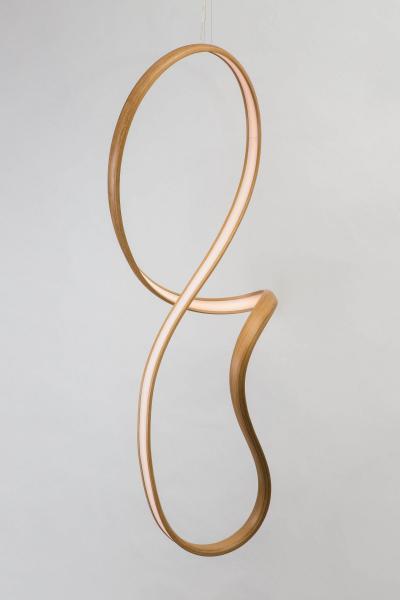 John Procario John Procario Vertical Freeform I USA 2017