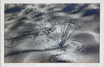 John W Gregory 1903 1992 six gelatin silver prints of views of Provincetown