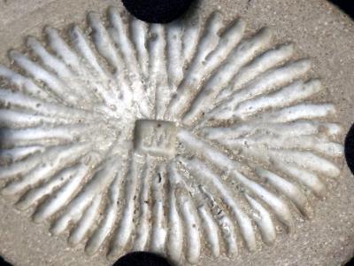 John Ward Large Ceramic Vase with Black and White Glaze by John Ward