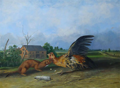 John Woodhouse Audubon JOHN WOODHOUSE AUDUBON 1812 1862 TAWNY WEASEL PUTORIUS FUSCUS