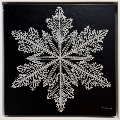 Jonah Waterous Snowflake on Black 0188