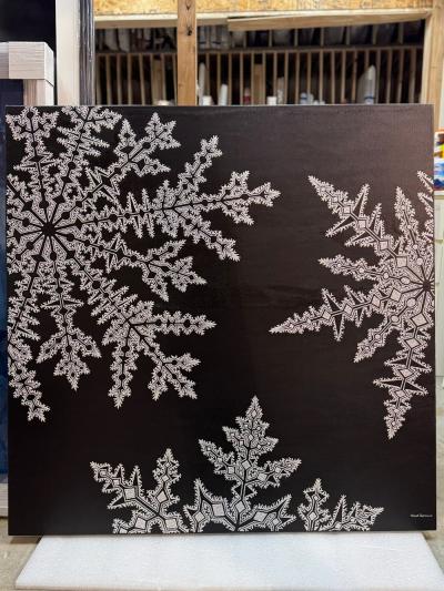 Jonah Waterous Snowflake on Black 0193