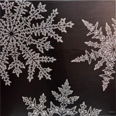 Jonah Waterous Snowflake on Black 0193