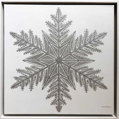 Jonah Waterous Snowflake on White 0190