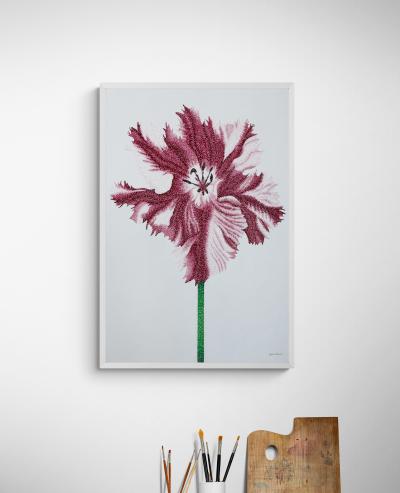 Jonah Waterous Tulip