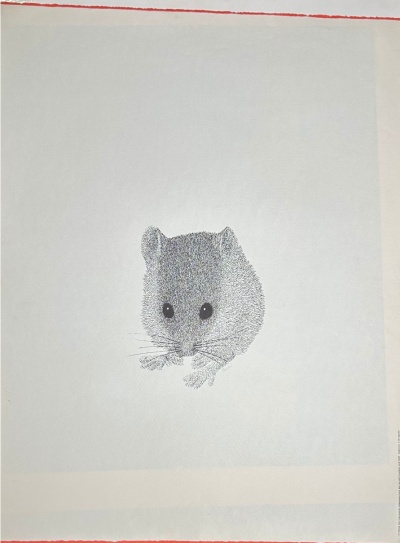 Jonathan Meader Mouse II 1974