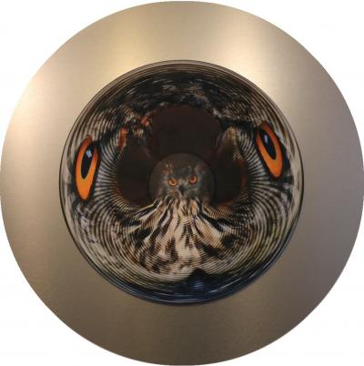 Jonty Hurwitz Owl I see I see