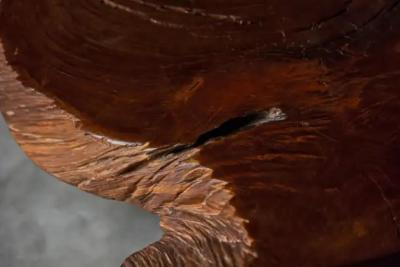 Jos Zanine Caldas Coffee Table by Jos Zanine Caldas Brazil 1970s