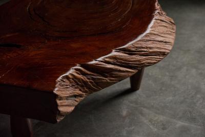 Jos Zanine Caldas Coffee Table by Jos Zanine Caldas Brazil 1970s