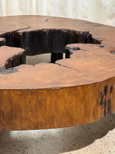 Jos Zanine Caldas Solid Tree Trunk Coffee Table Made of a Thick Cross Section of Vinhatico Wood