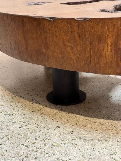 Jos Zanine Caldas Solid Tree Trunk Coffee Table Made of a Thick Cross Section of Vinhatico Wood