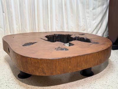 Jos Zanine Caldas Solid Tree Trunk Coffee Table Made of a Thick Cross Section of Vinhatico Wood