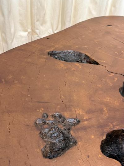 Jos Zanine Caldas Solid Tree Trunk Coffee Table Made of a Thick Cross Section of Vinhatico Wood