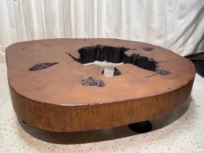 Jos Zanine Caldas Solid Tree Trunk Coffee Table Made of a Thick Cross Section of Vinhatico Wood