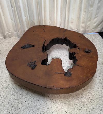 Jos Zanine Caldas Solid Tree Trunk Coffee Table Made of a Thick Cross Section of Vinhatico Wood