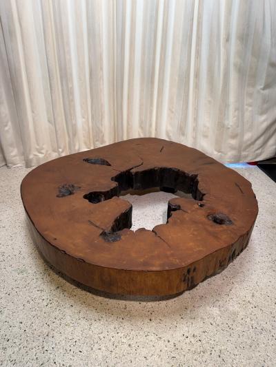 Jos Zanine Caldas Solid Tree Trunk Coffee Table Made of a Thick Cross Section of Vinhatico Wood