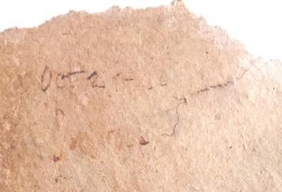 Jose Luis Cuevas Framed Drawing by Mexican Artist Jose Luis Cuevas