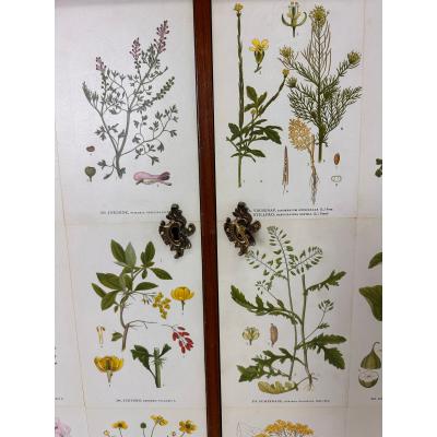 Josef Frank 1940 s Swedish Cabinet With Nordens Flora Illustrations