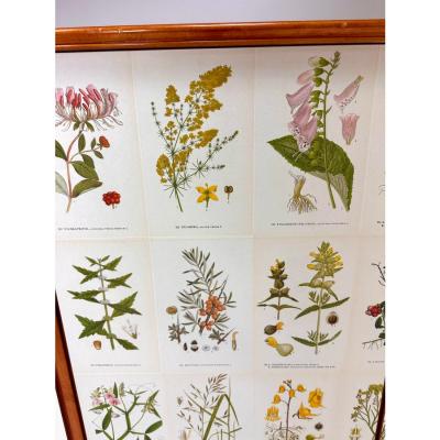 Josef Frank 1940s Swedish Cabinet With Nordens Flora Illustrations