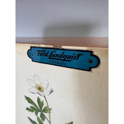 Josef Frank 1950 s Swedish Cabinet With Nordens Flora Illustrations